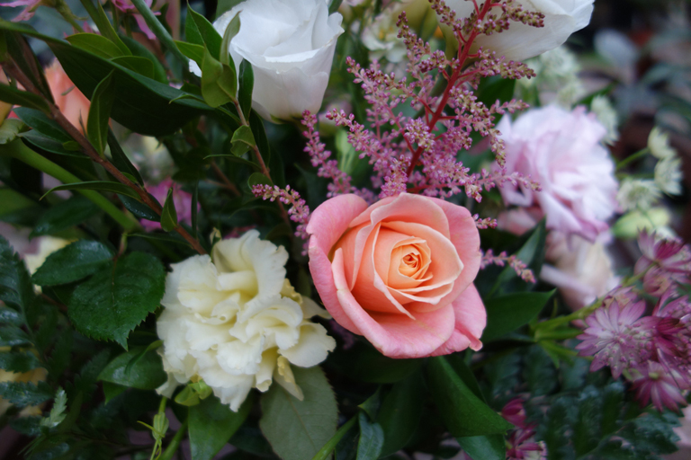 Miss Piggy Roses in Lisianthus