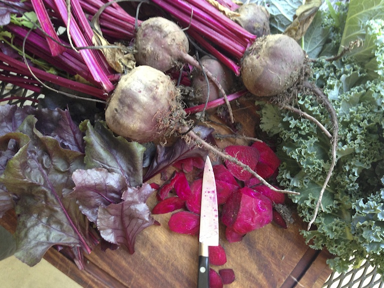 Bulls Blood Beets