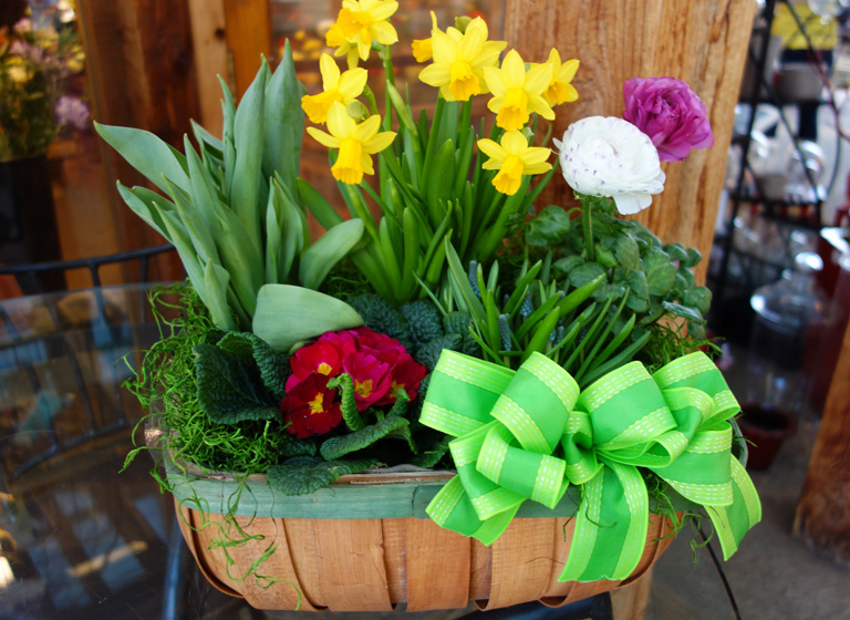 Spring Euro Basket