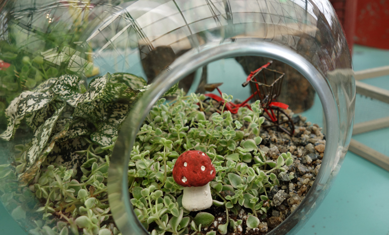 Fairy Garden Terrarium
