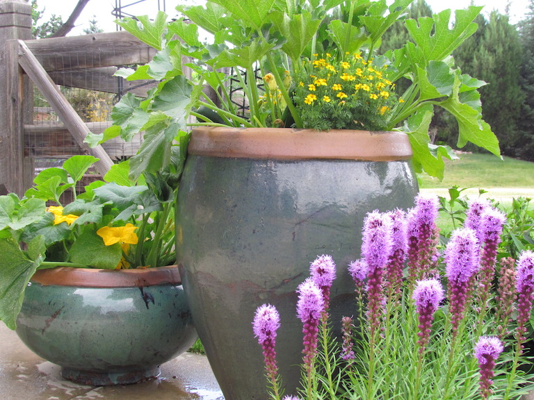 Let our designers create a beautiful French Garden just for you Let our designers create a beautiful French Garden just for you Just tell us whether you want it for shade or sun what your favorite colors or flowers are