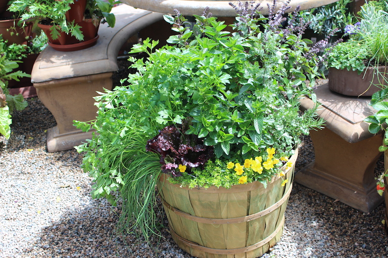 Let our designers create a beautiful French Garden just for you Container Gardens French Gardens 9 31