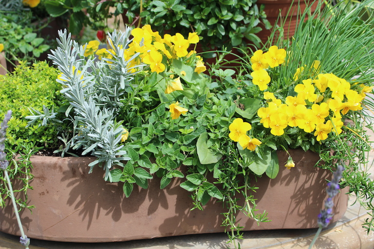 Let our designers create a beautiful French Garden just for you Let our designers create a beautiful French Garden just for you Just tell us whether you want it for shade or sun what your favorite colors or flowers are