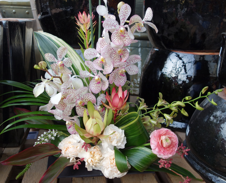 Zen Artistry with Vanda Orchids