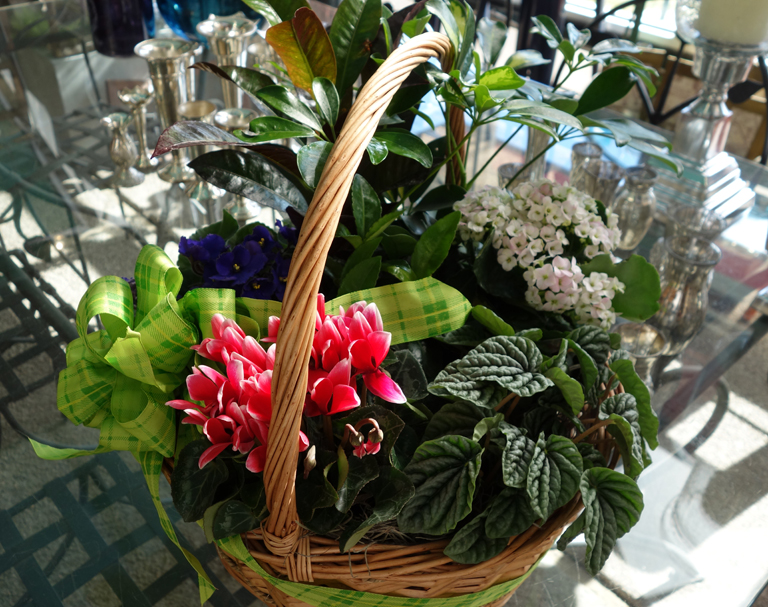 Basket of Love