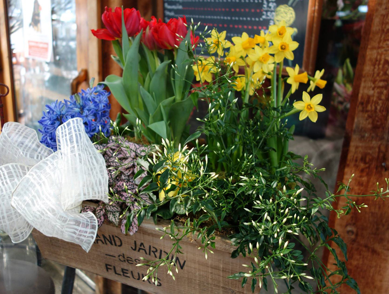 Spring in Bloom Eurobasket