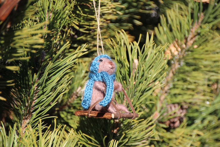 Hedgehog on sled with blue scarf