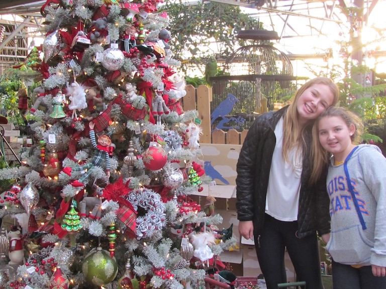 Decorated Trees in the Greenhouses of Sturtz and Copeland