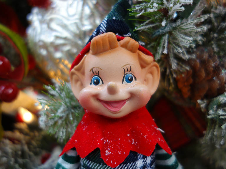 Pinochio Boulder, CO