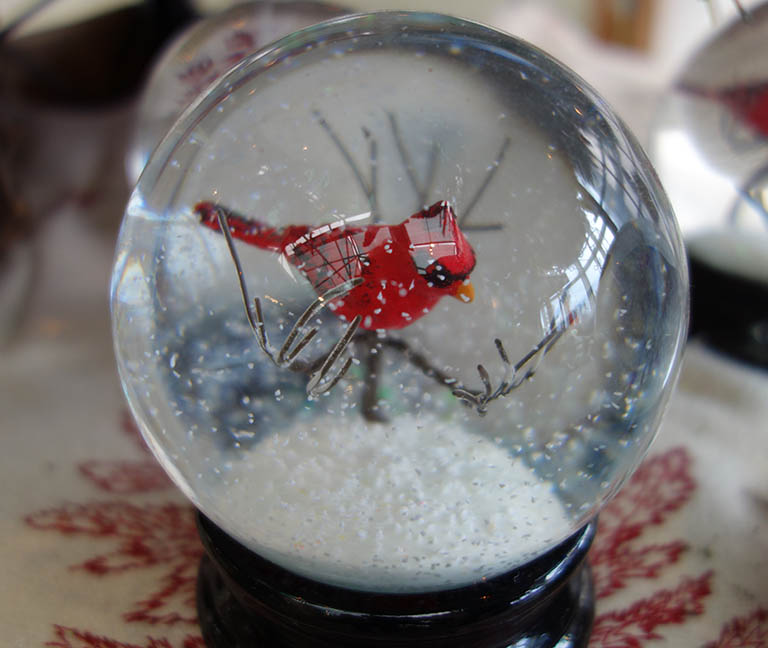 Cardinal Snowball Boulder, CO