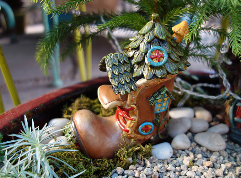 Old Man in a Shoe Fairy Garden House Boulder CO