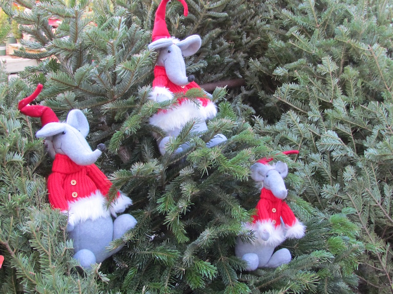 Christmas Mice