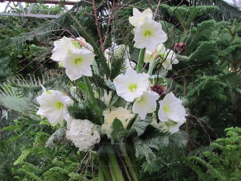 White Amaryllis and Hydrangeas in an Elegant Arrangement