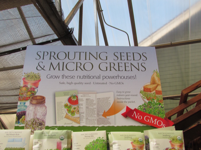 Sprouting Seeds and Micro Greens