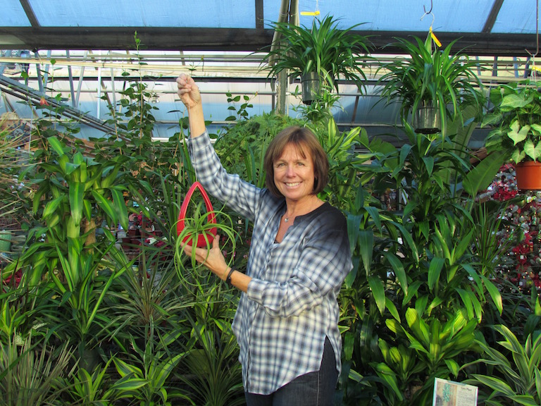 Jill holding a tillandsia and surrounded by dracaenas