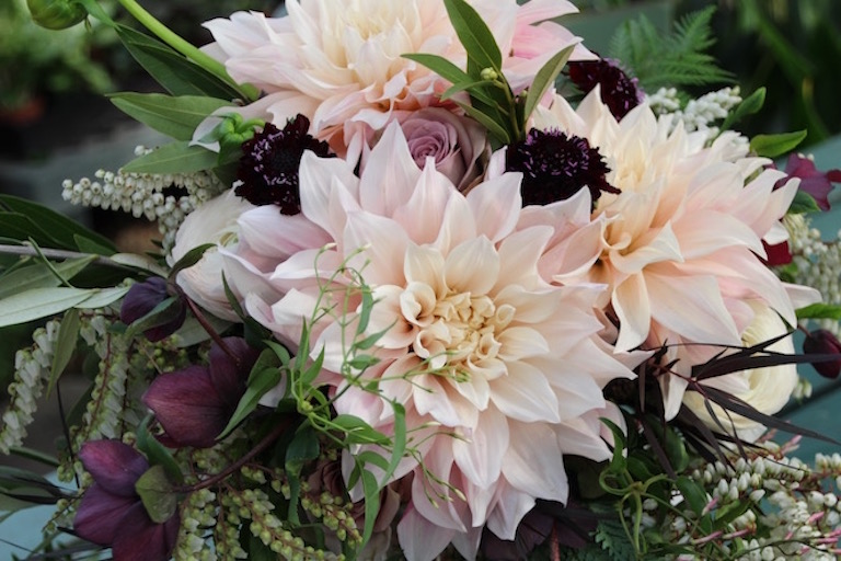 Peach dahlias and magenta Lenten rose make a beautiful bridal bouquet