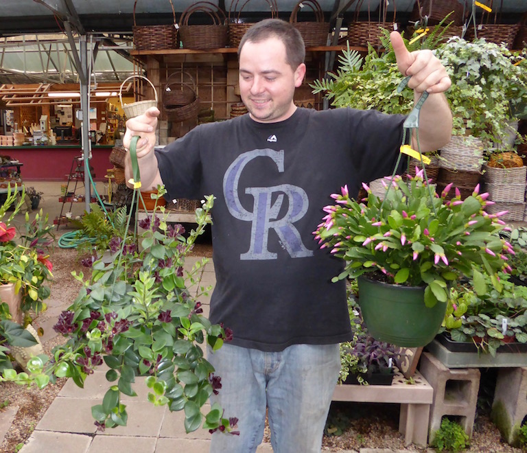 Trevor with pink Easter cactus and Aeschynanthus hanging basket