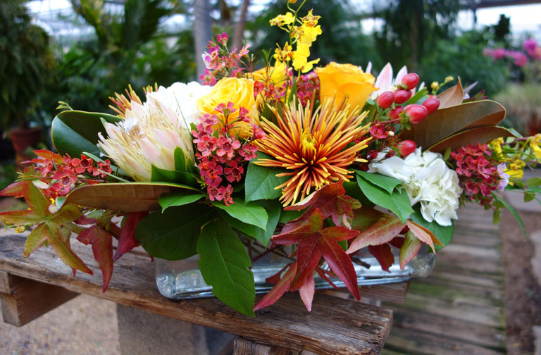 Hydrangea and protea