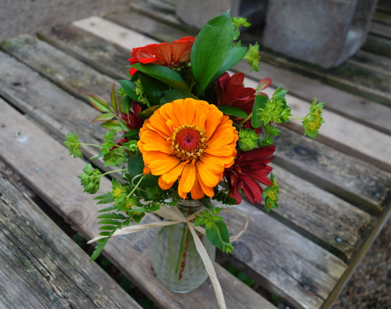 Zinnias and roses