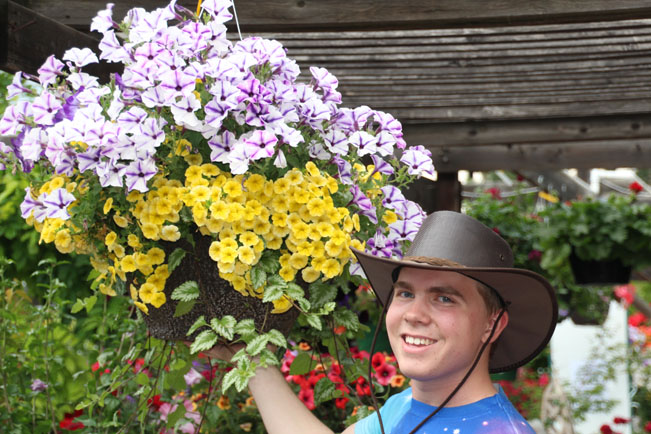 Hanging Baskets Sturtz and Copeland
