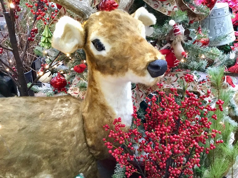 Reindeer and Berries for the Holidays