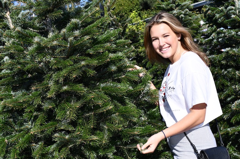 Christmas Trees in Boulder Colorado