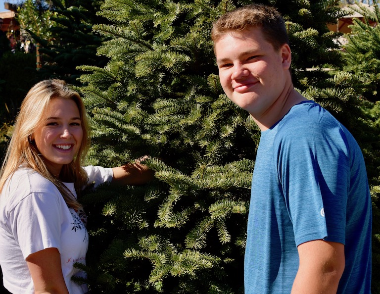 Christmas Tree Lot at Sturtz and Copeland