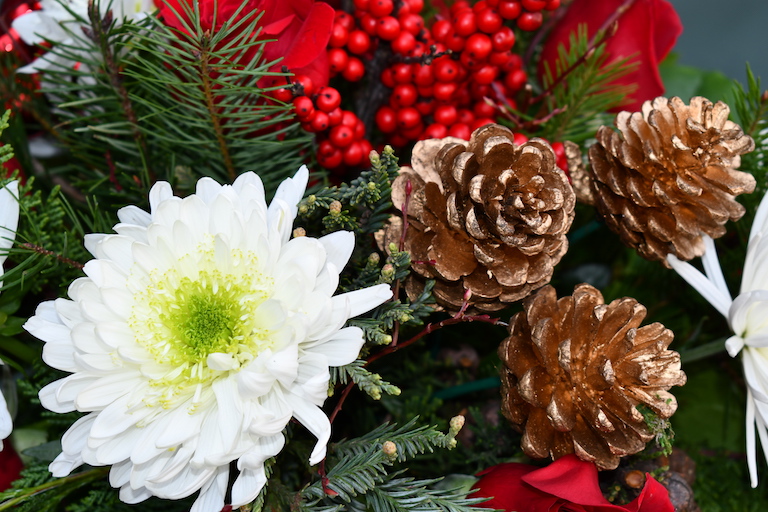 Pine cones go well with evergreens in Christmas centerpieces