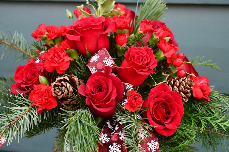 Red roses and evergreens for Christmas
