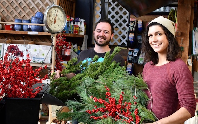 Mixed Evergreen Boughs by the Pound