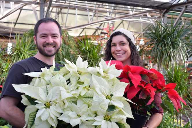 Trevor with a beautiful white poinsettia