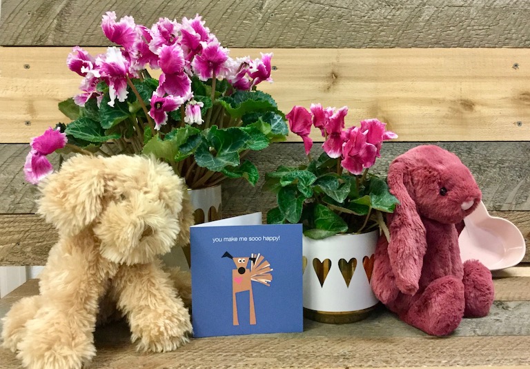 Soft and cuddly Gund puppy with a beautiful pink cyclamen