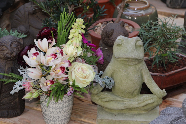 Yoga frogs