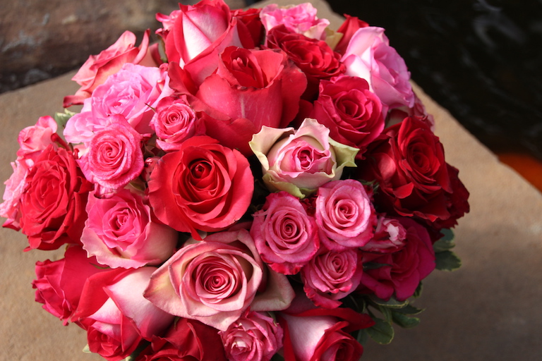 Pink and red roses for a perfect Boulder Valentine's Day