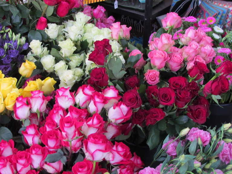 Roses, roses, roses