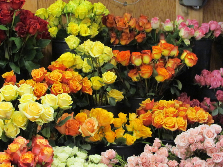 Yellow and orange roses