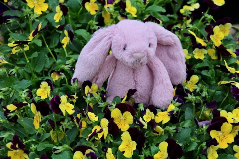 So Soft Jellycat Bunny with Johnny Jump Ups