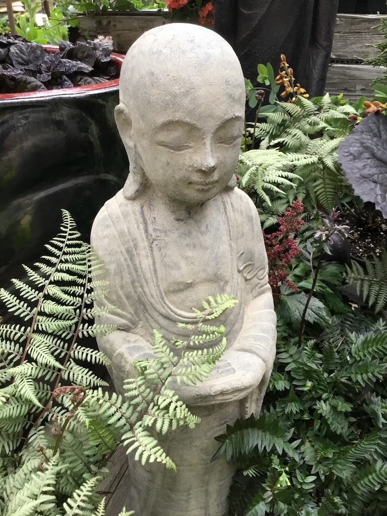 Buddha with ferns