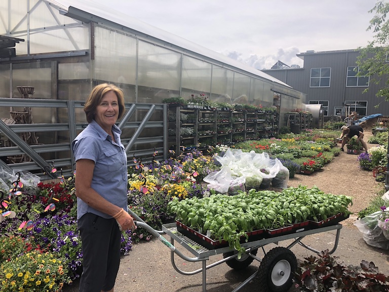 Karen with lots of basil, the perfect herb to go with your tomatoes